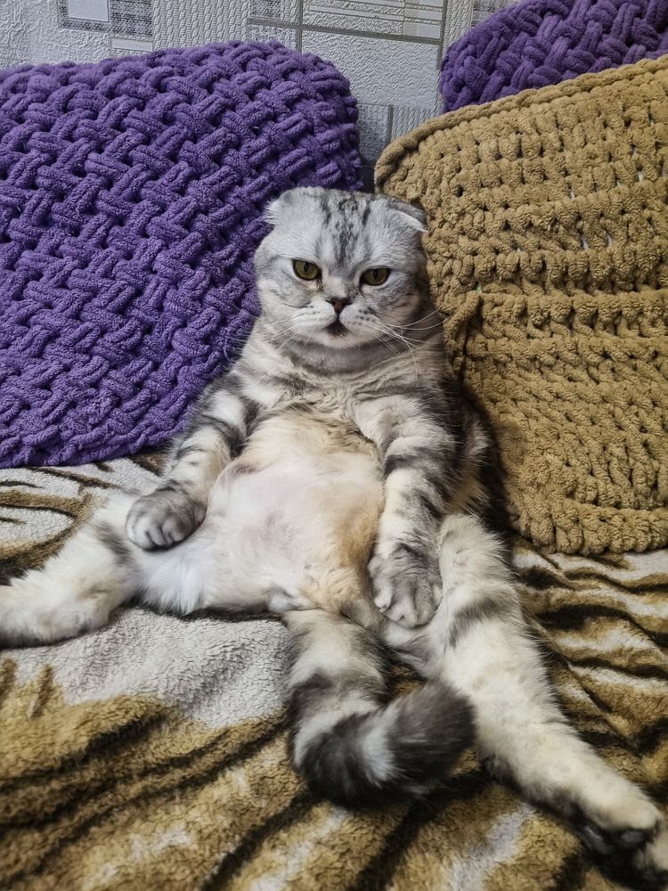 Photograph by Елена Ромашкина