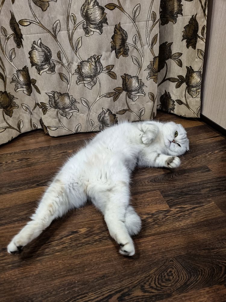 Photograph by Елена Ромашкина