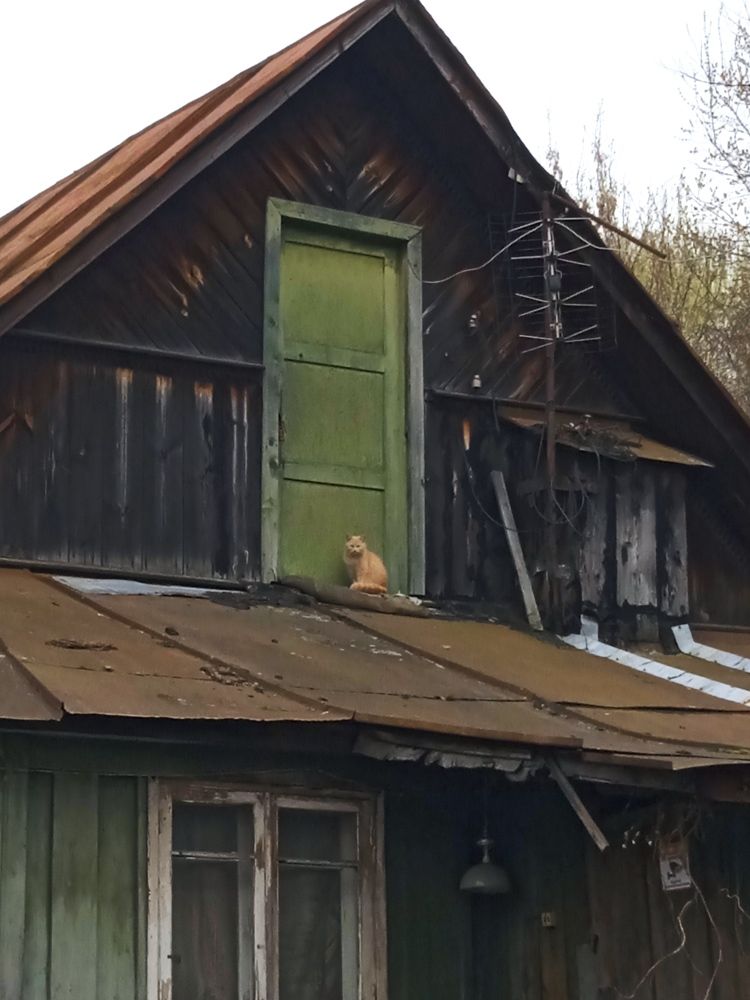 Photograph by Читаю детям