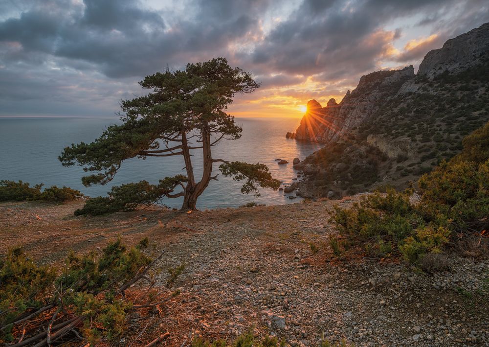 Photograph by Мысливцев Николай