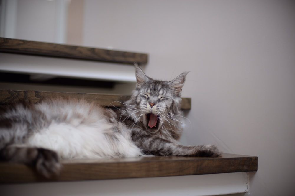 Photograph by Юлия