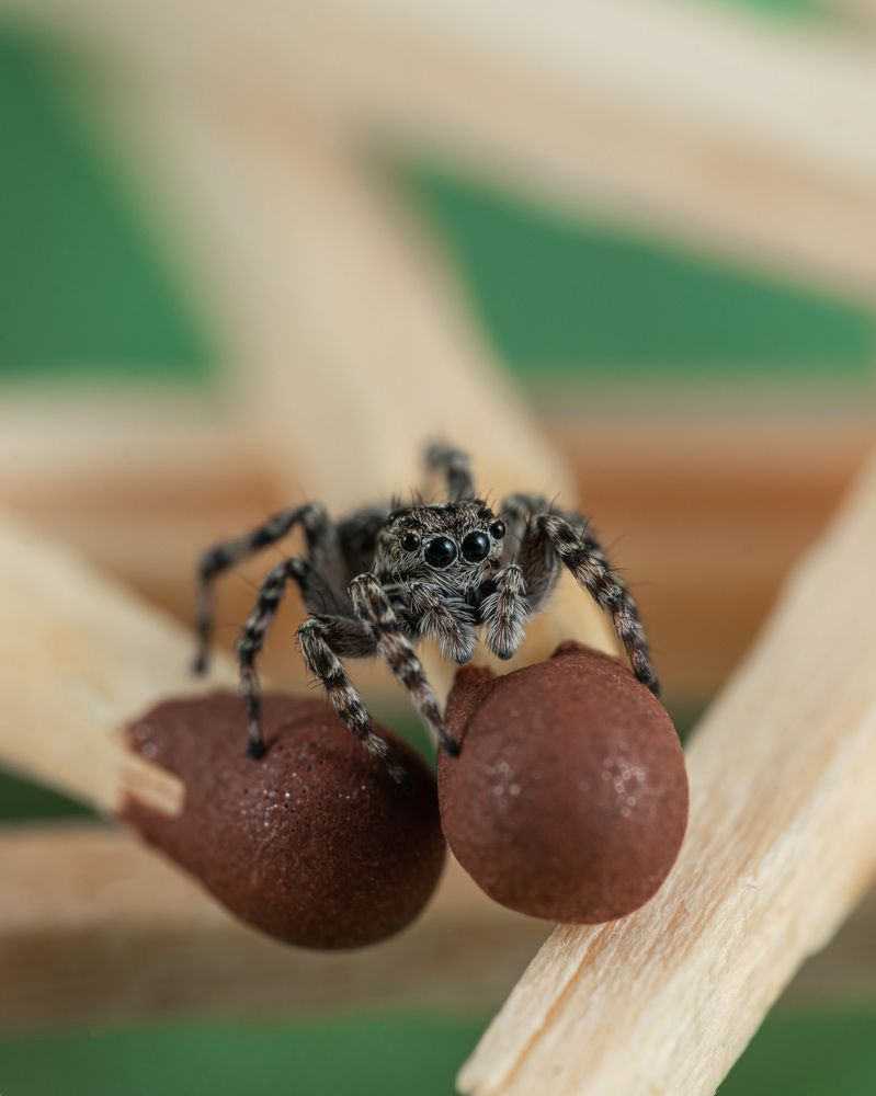 Photograph by Anatoly Malyshev