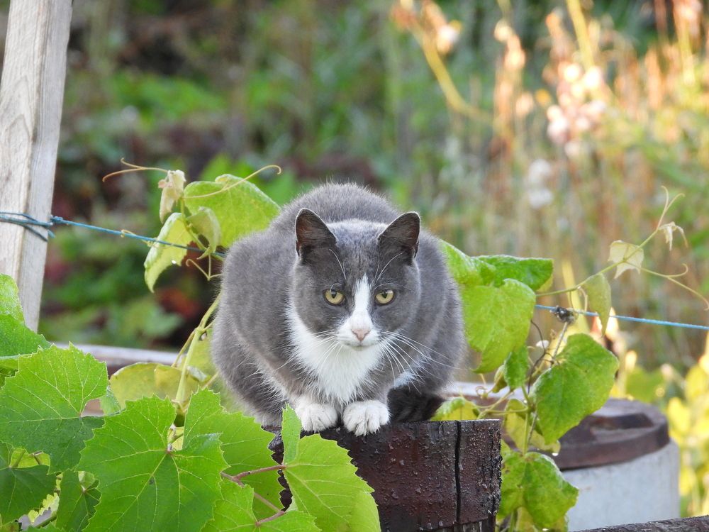 Photograph by Владимир Джерихов