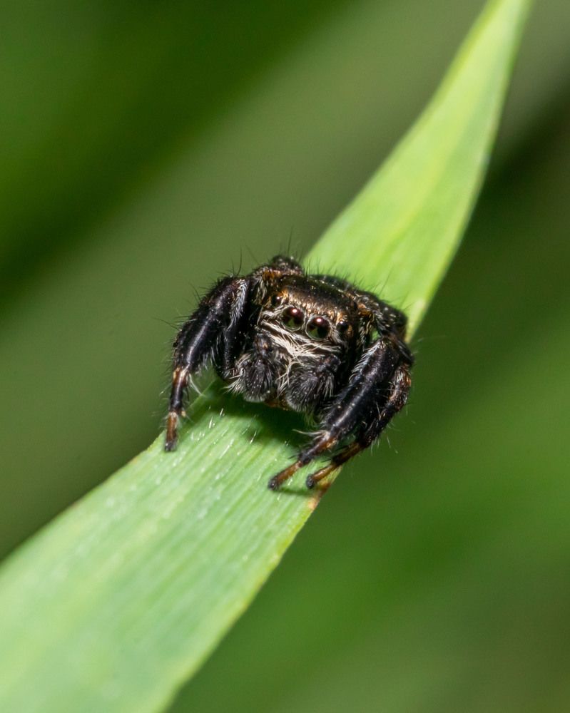 Photograph by Anatoly Malyshev