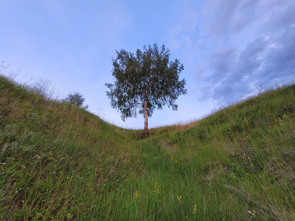 Photograph by Сильва Татьяна