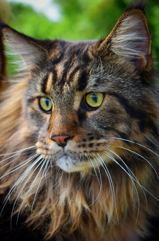 Photograph by Екатерина Гордеева