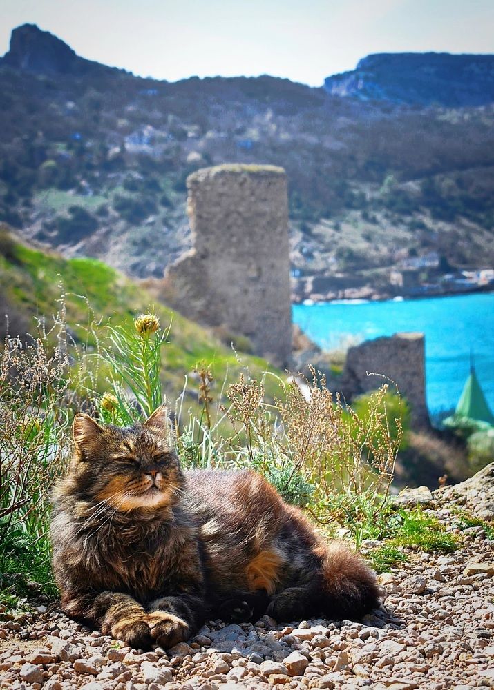 Photograph by Екатерина Гордеева