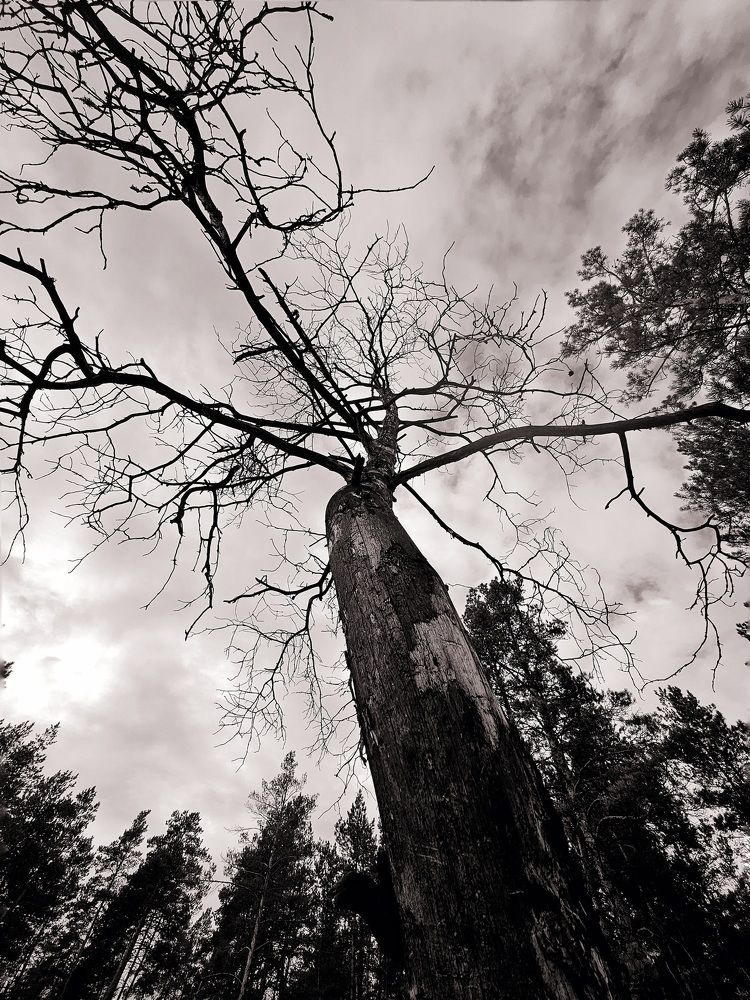 Photograph by Ирина