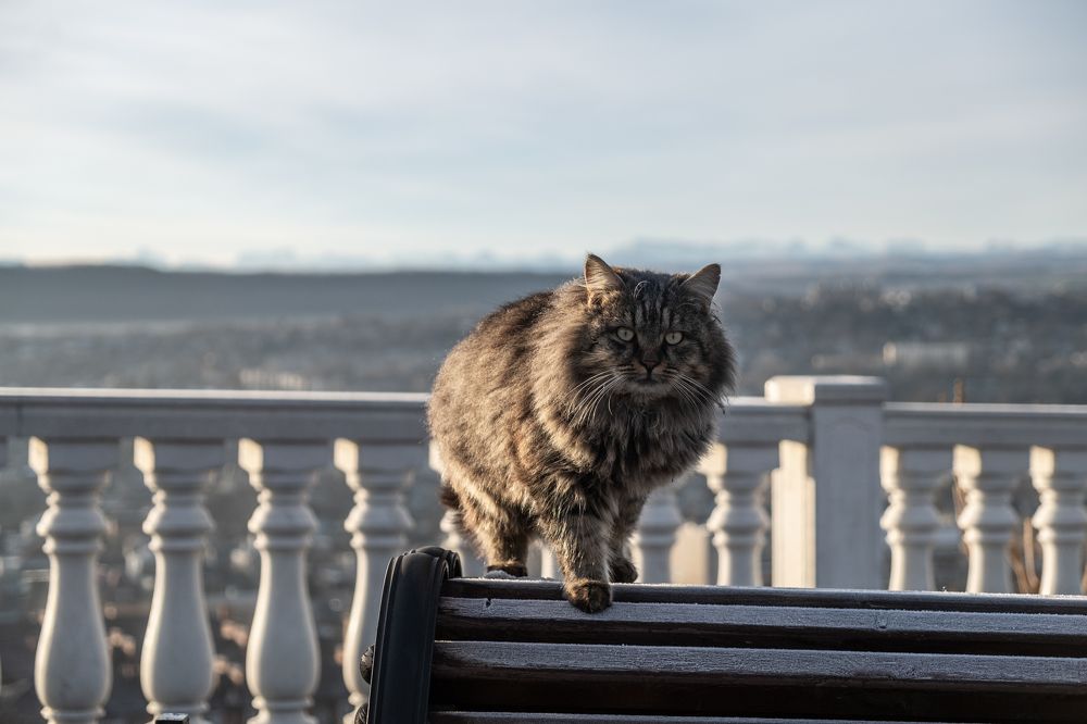 Photograph by Владимир