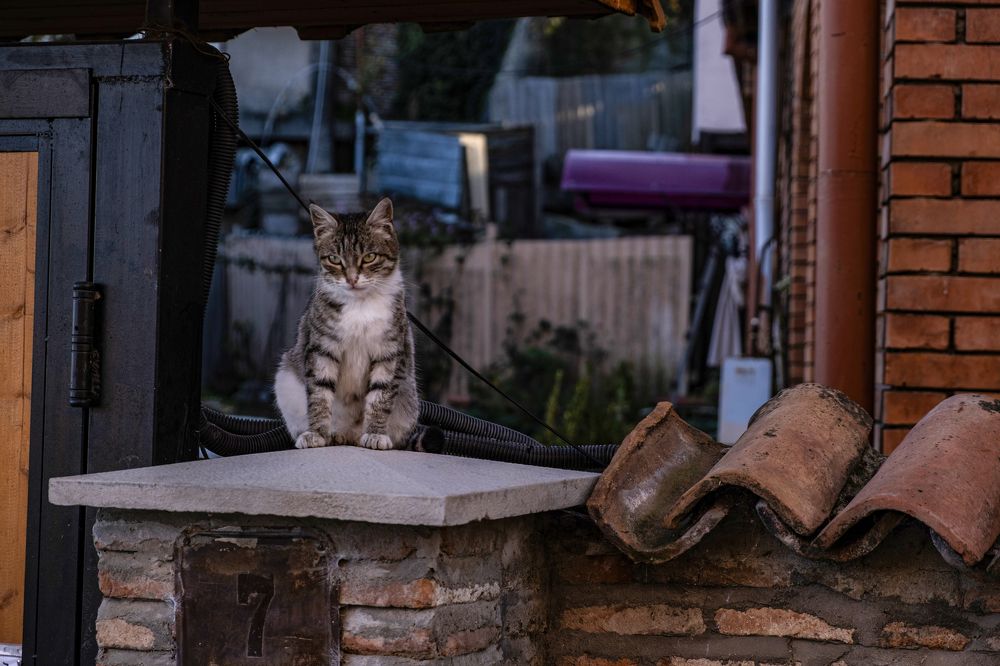 Photograph by Владимир