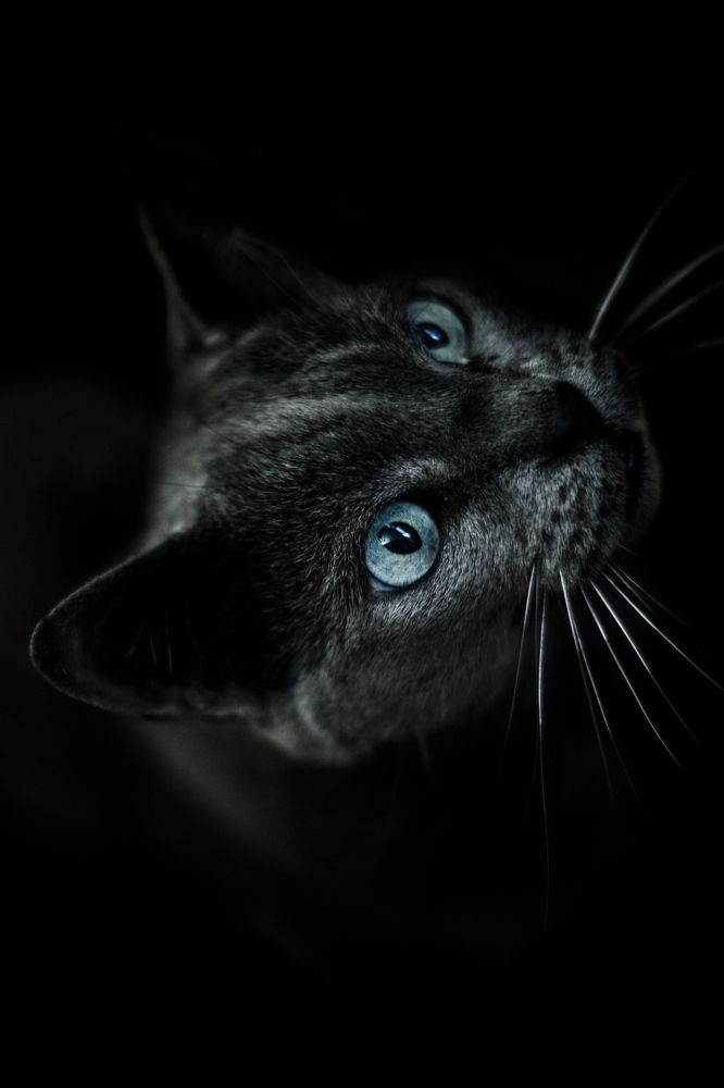 Photograph by Randy Betancourt