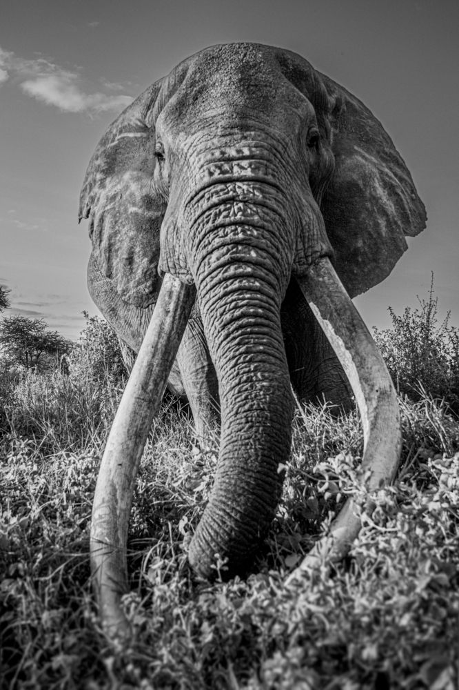 Photograph by Sharad Mansharamani