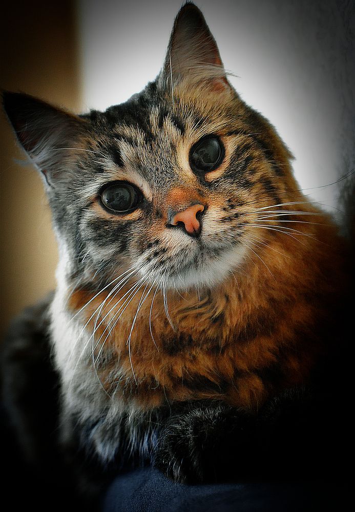 Photograph by Екатерина Гордеева