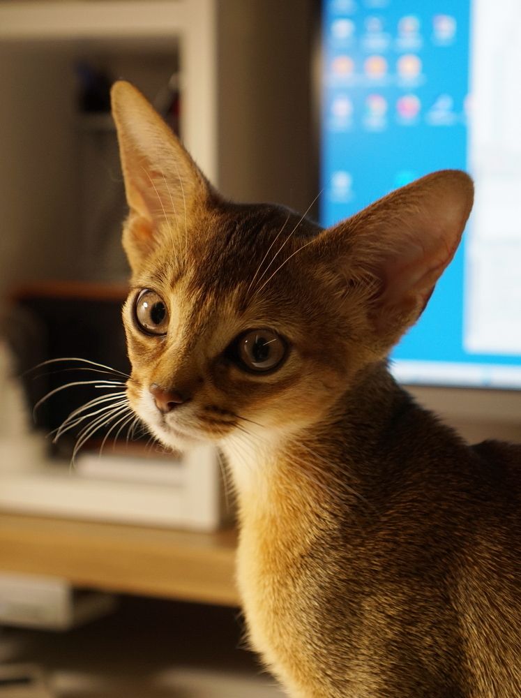 Photograph by Игорь Семеновский