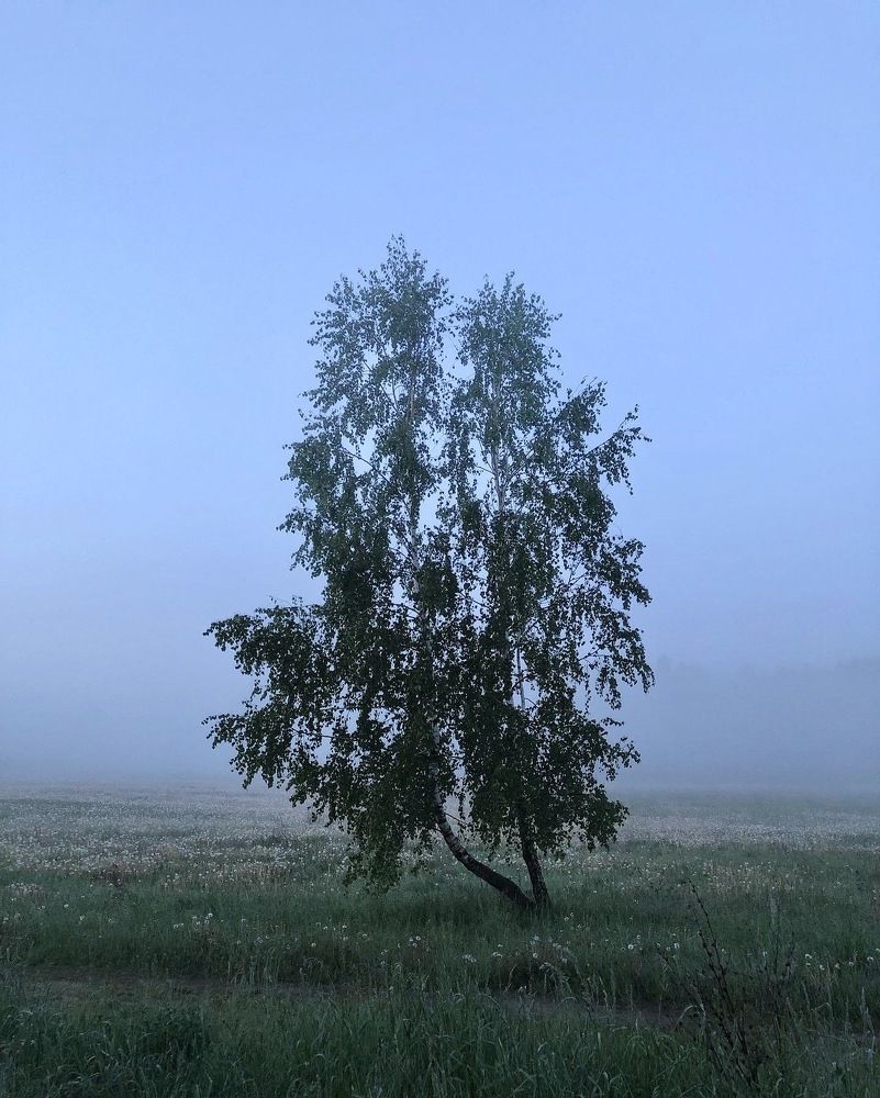 Photograph by Лариса Акинчиц