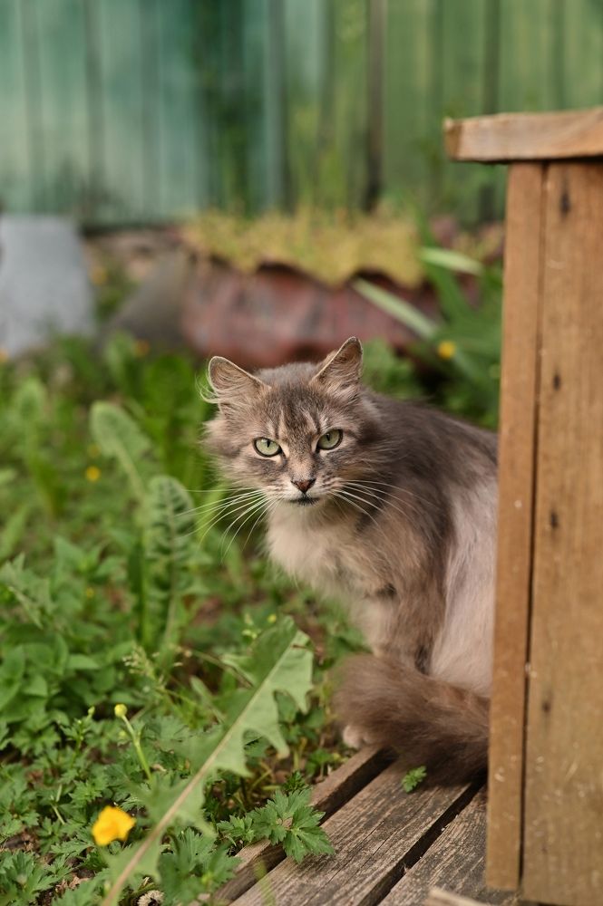 Photograph by Дарья Гомза