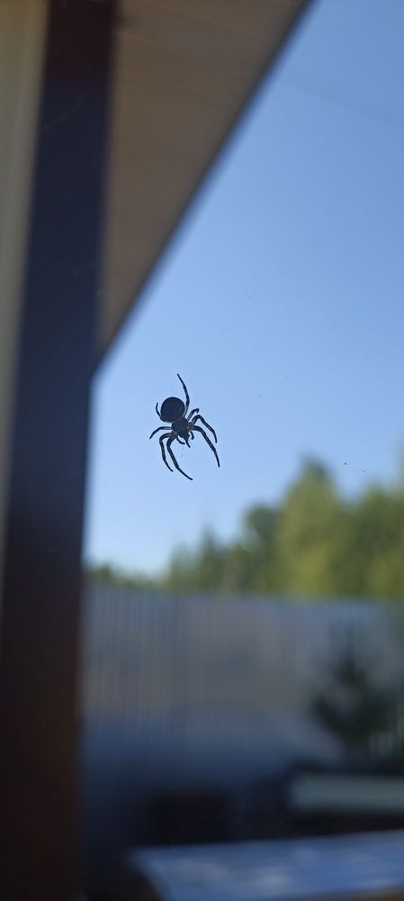 Photograph by Лиза Малыгина