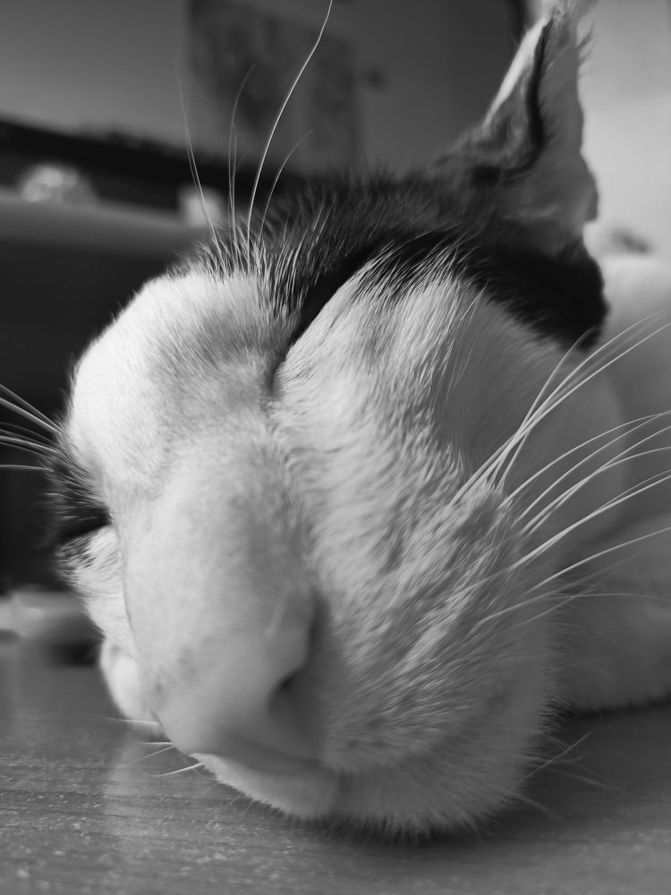 Photograph by Виталий Черепенькин