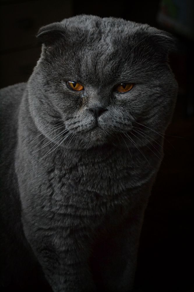 Фотография автора Lada Novicova