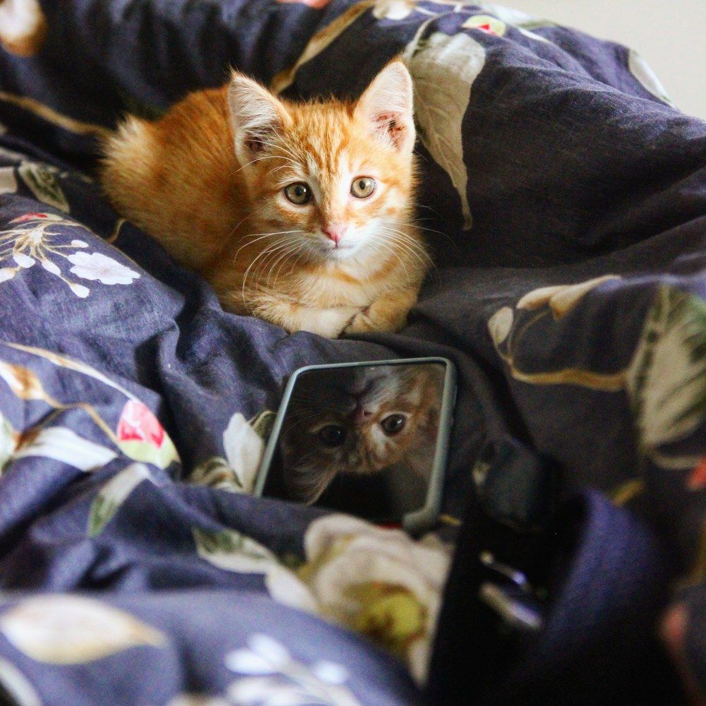 Photograph by Нина Кузьмина