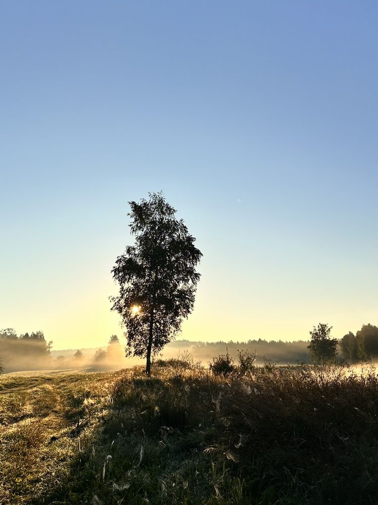 Photograph by Лариса Акинчиц