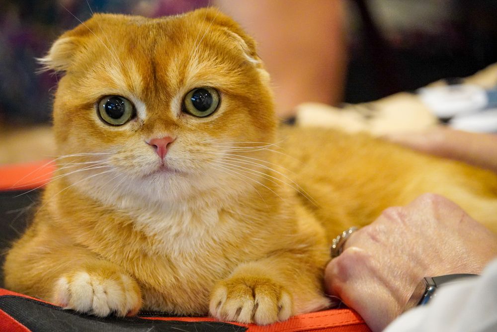 Photograph by Anca Uifalean