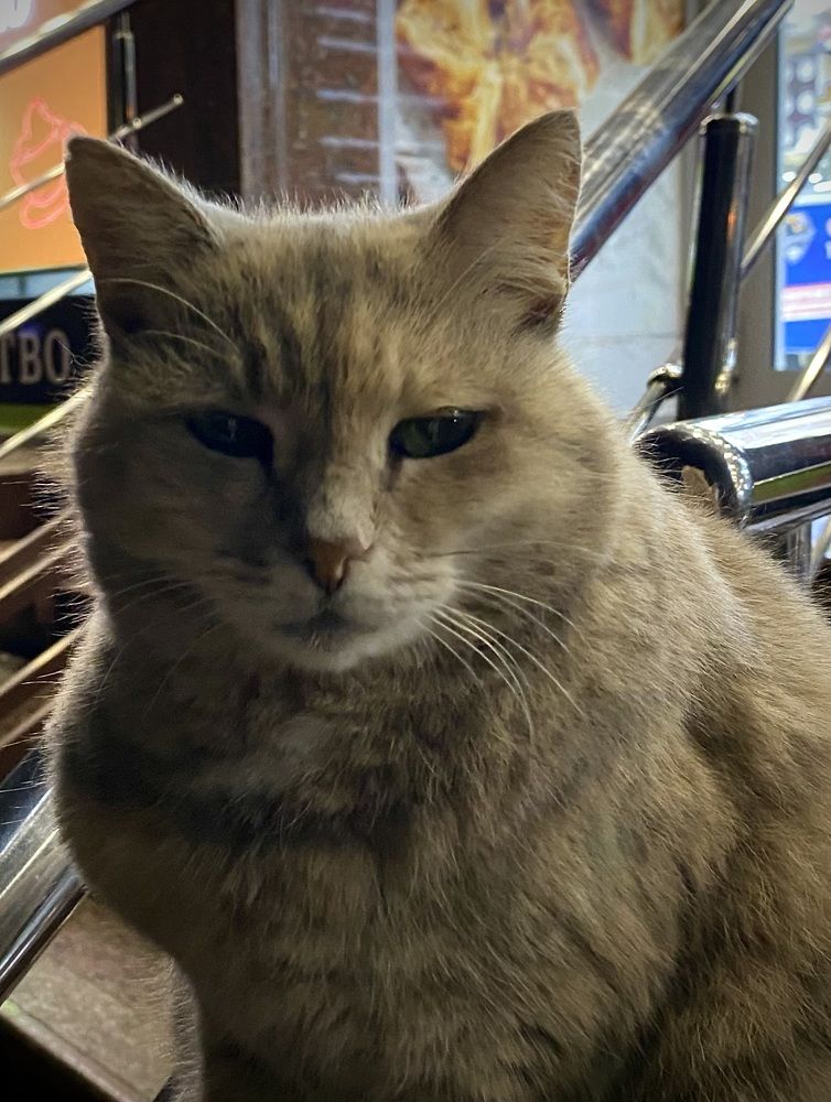 Photograph by Алиса Лукина