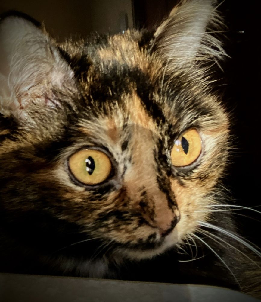 Photograph by Алиса Лукина