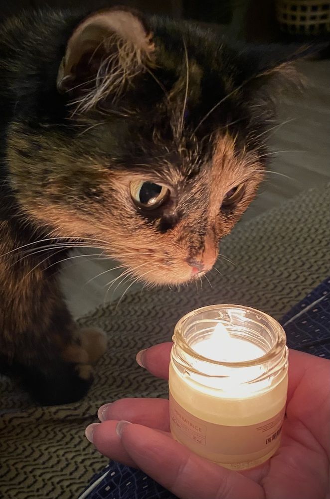 Photograph by Алиса Лукина