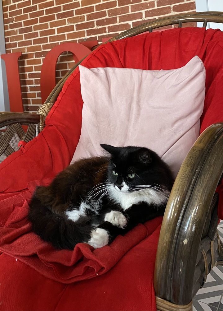 Photograph by Алиса Лукина