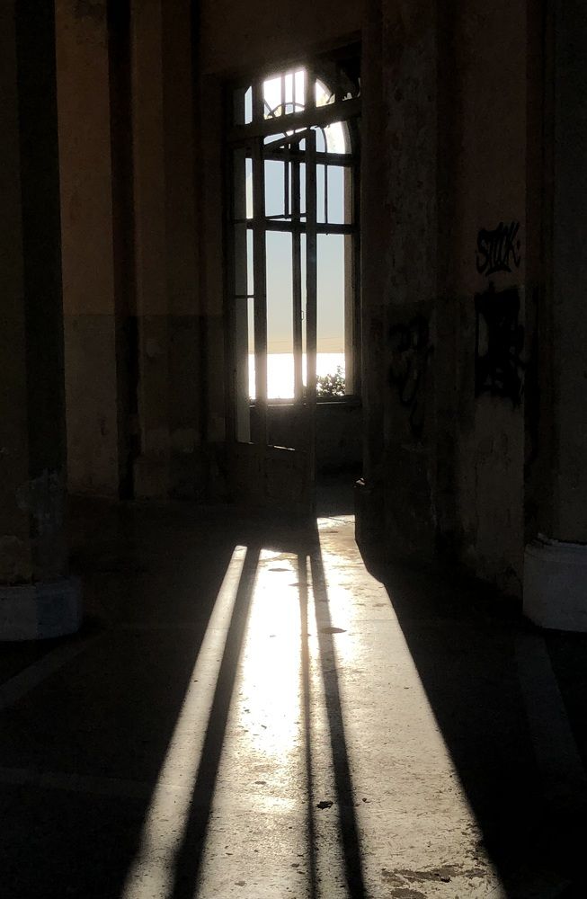 Photograph by Мария Бессмертная