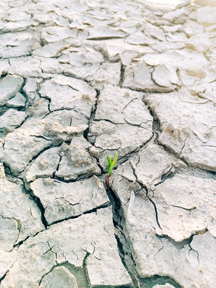 Photograph by Надежда Михайлина