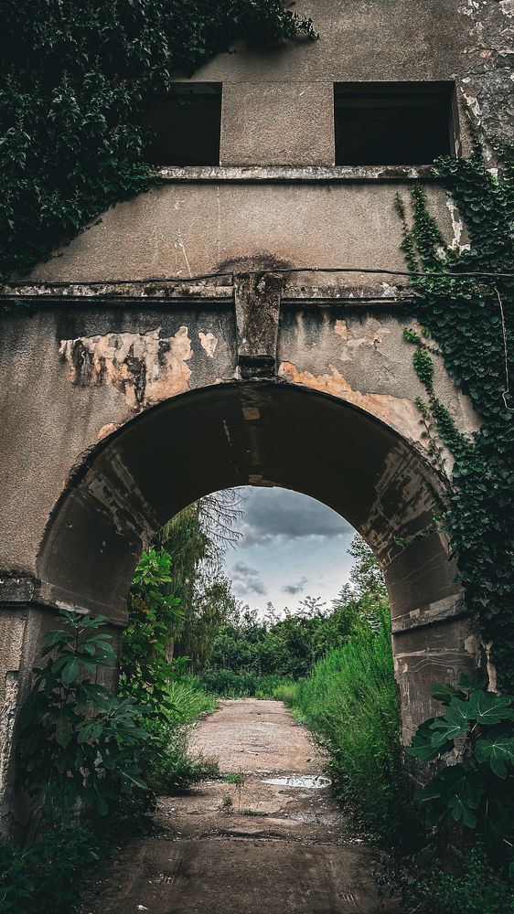 Photograph by Екатерина Нальгиева