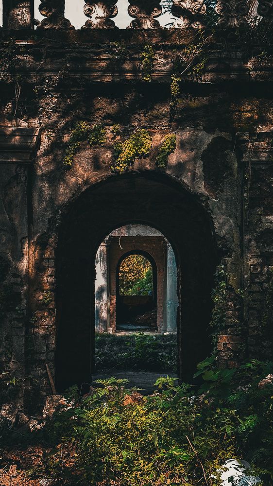 Photograph by Екатерина Нальгиева