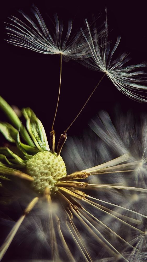 Photograph by Mariia Voloshina