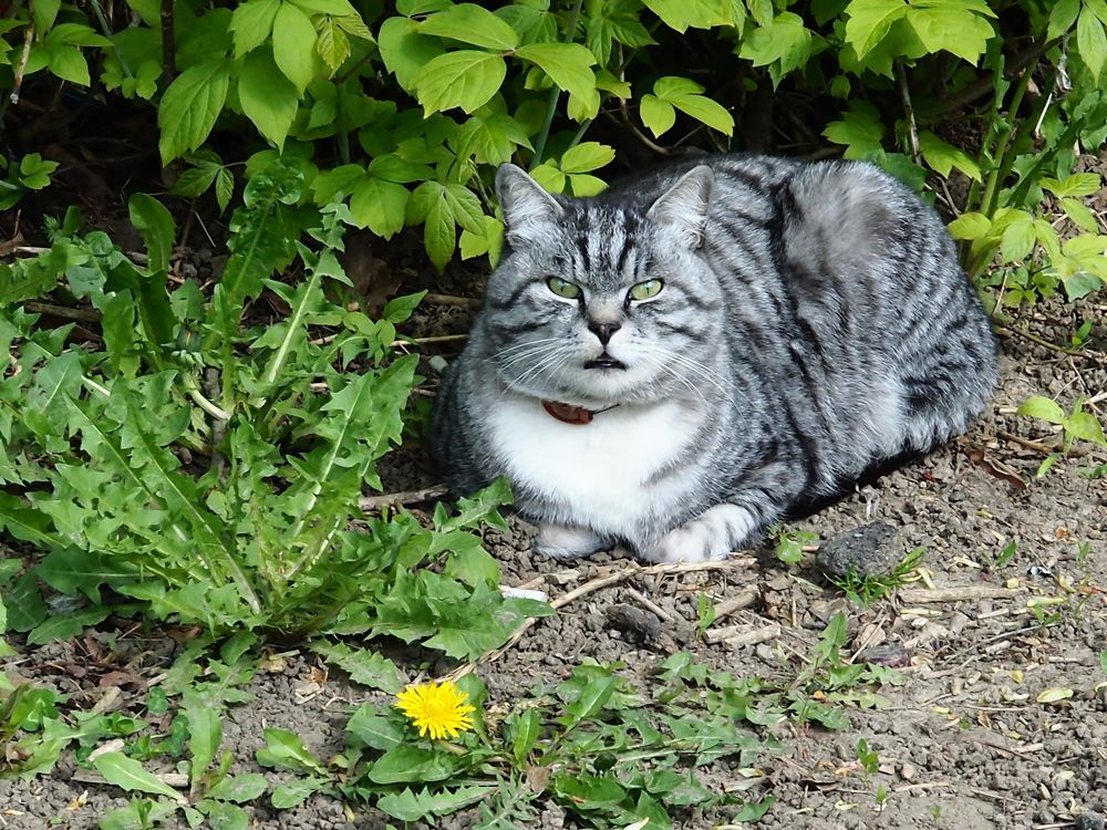 Photograph by Елена Харитонова