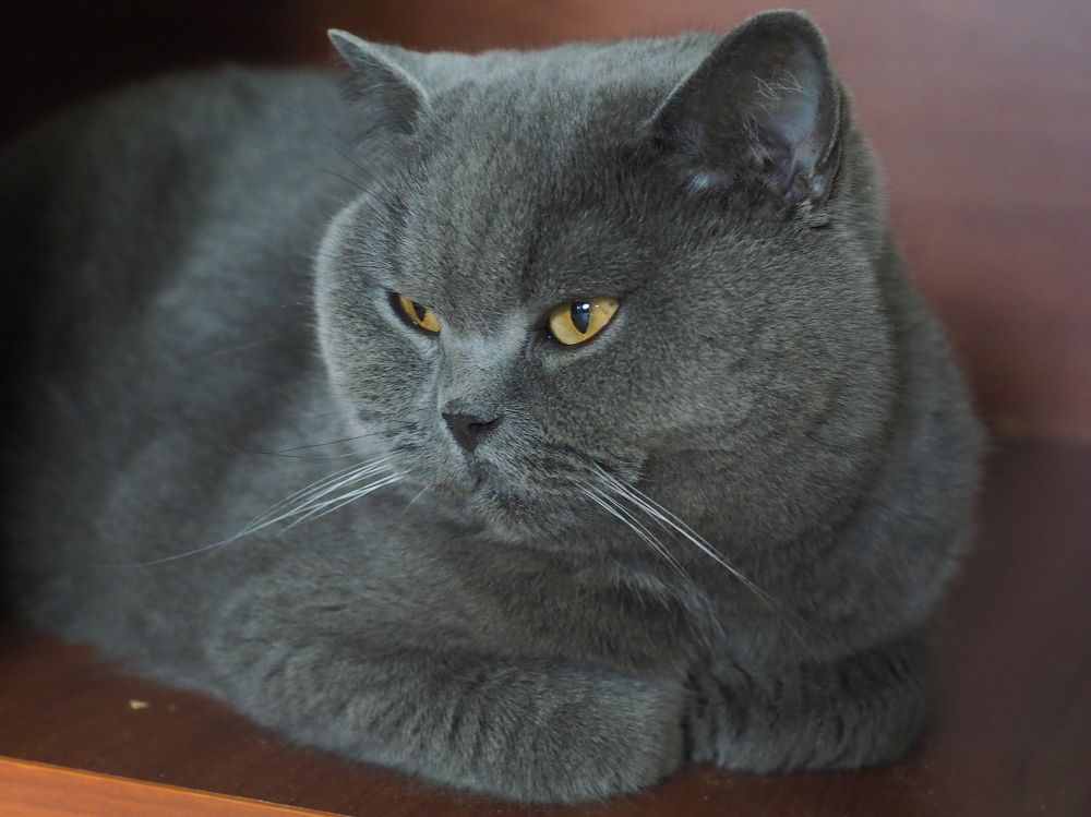 Photograph by Елена Харитонова