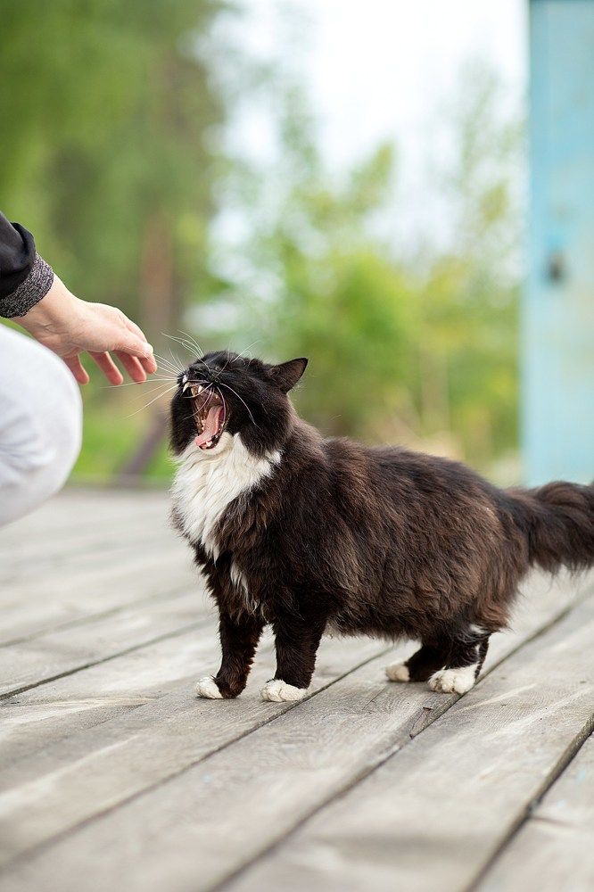 Photograph by Ирина Зиннурова