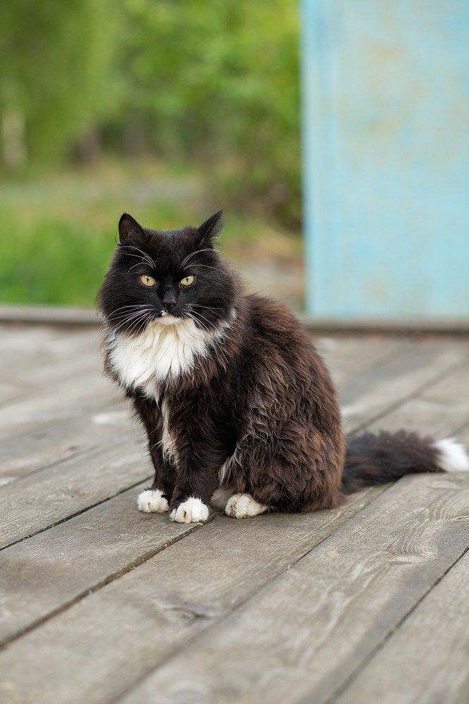 Photograph by Ирина Зиннурова