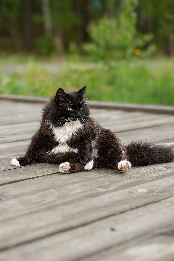 Photograph by Ирина Зиннурова