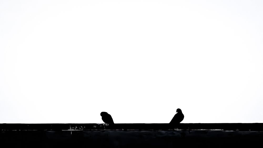 The Distance.