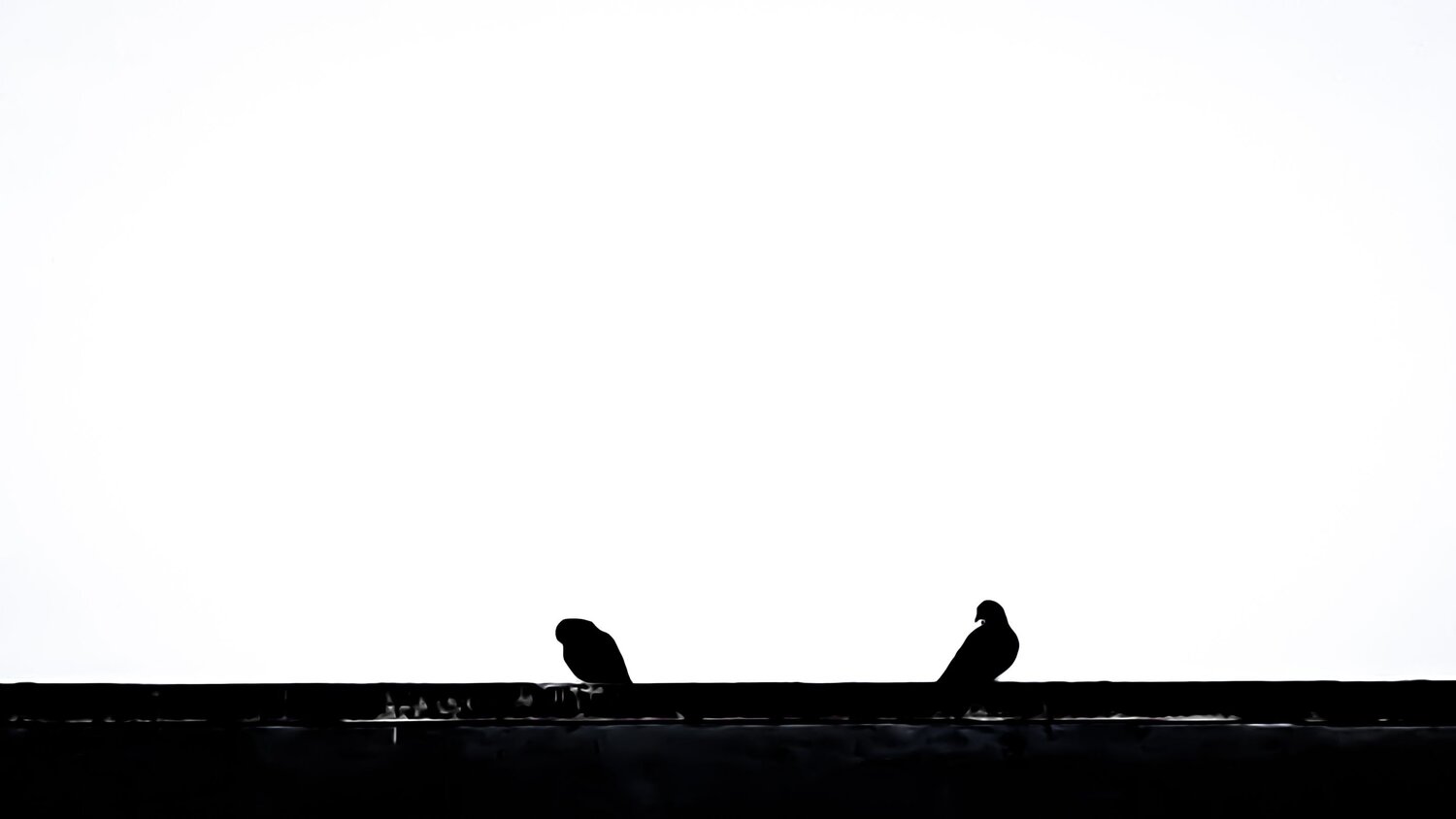The Distance.