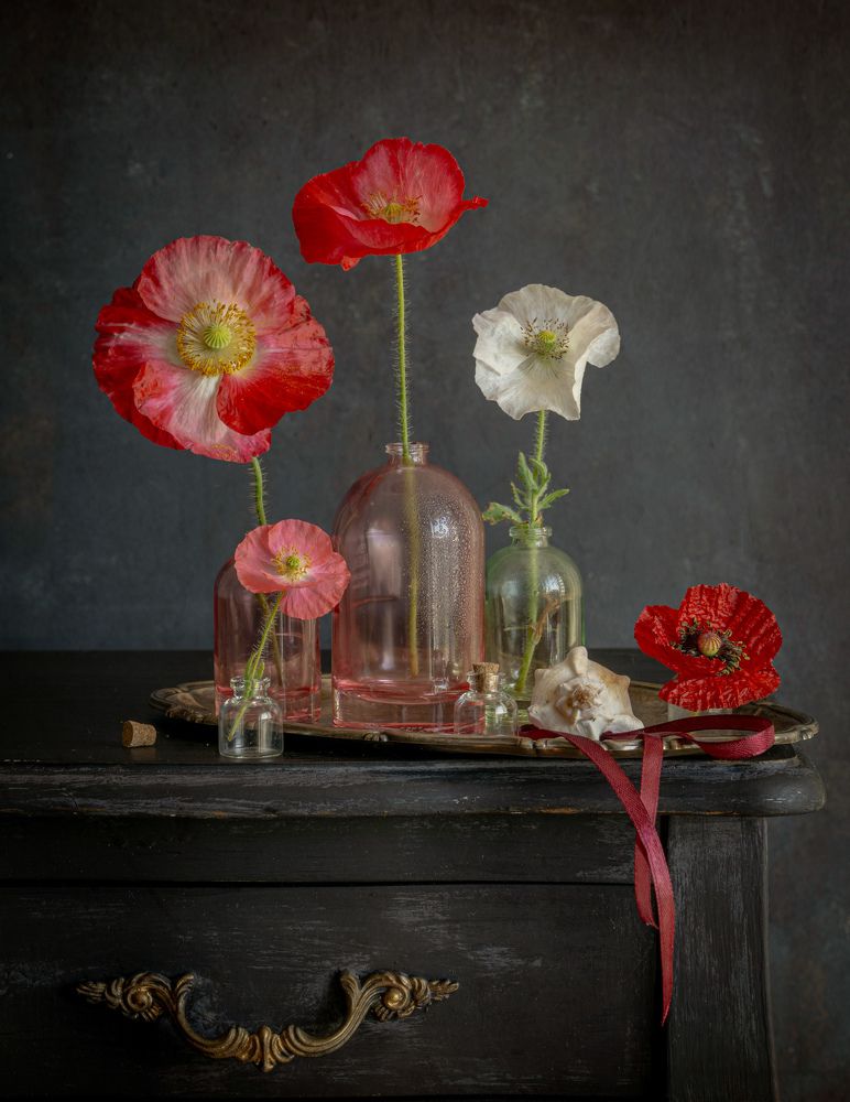 Photograph by Milla Walmus