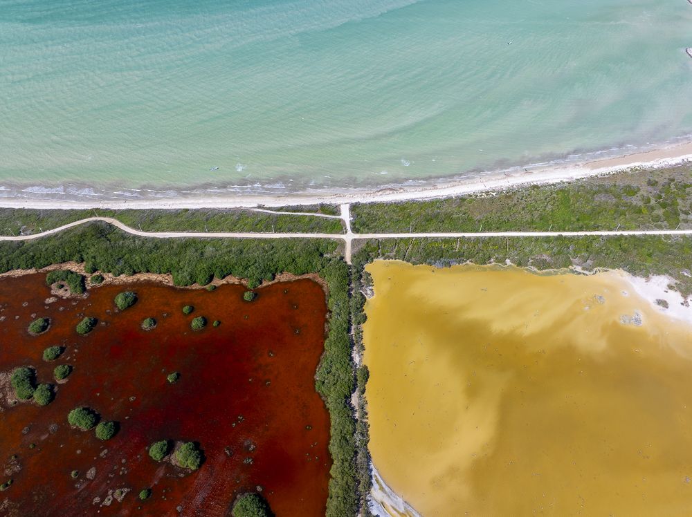 Photograph by Maria Gabriela Rocha Gomez