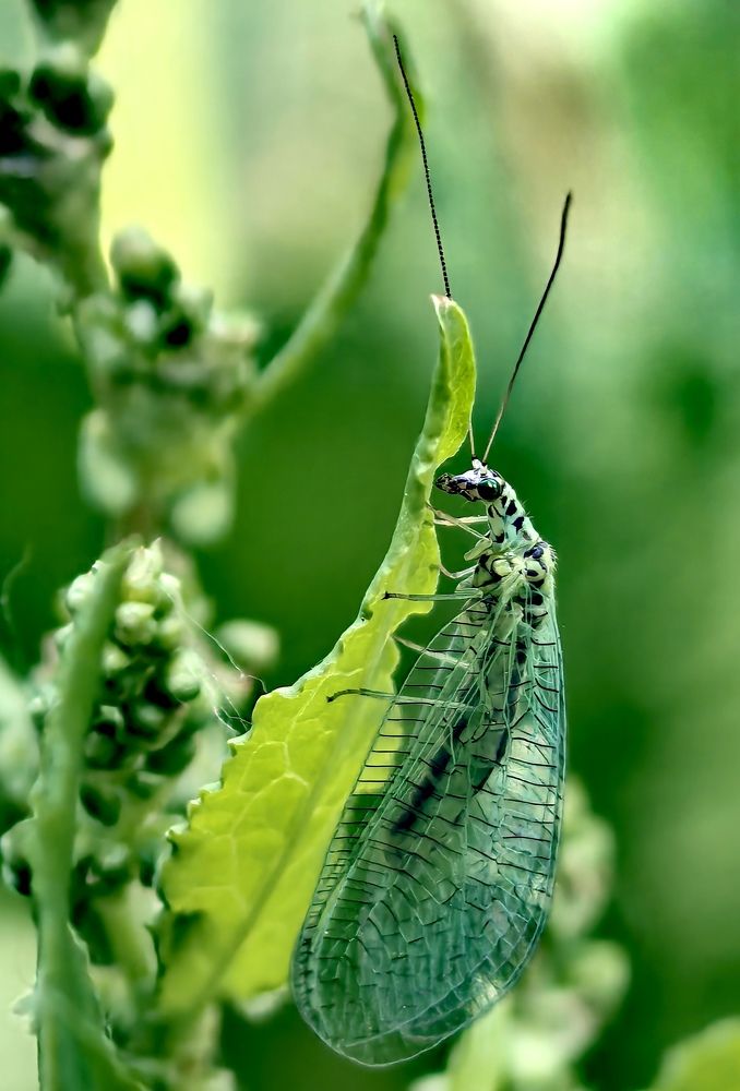 Photograph by Анна Епанчинцева