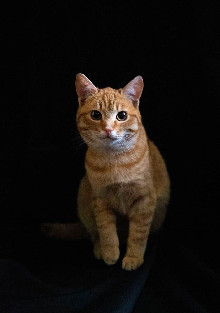 Photograph by Анна Евдокименко