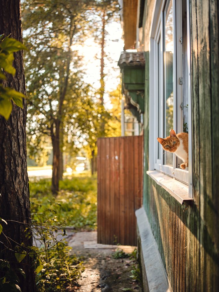 Photograph by Дыбов Дмитрий