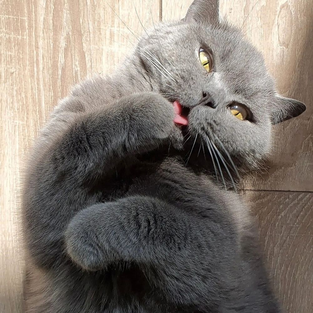 Photograph by Елена Харитонова