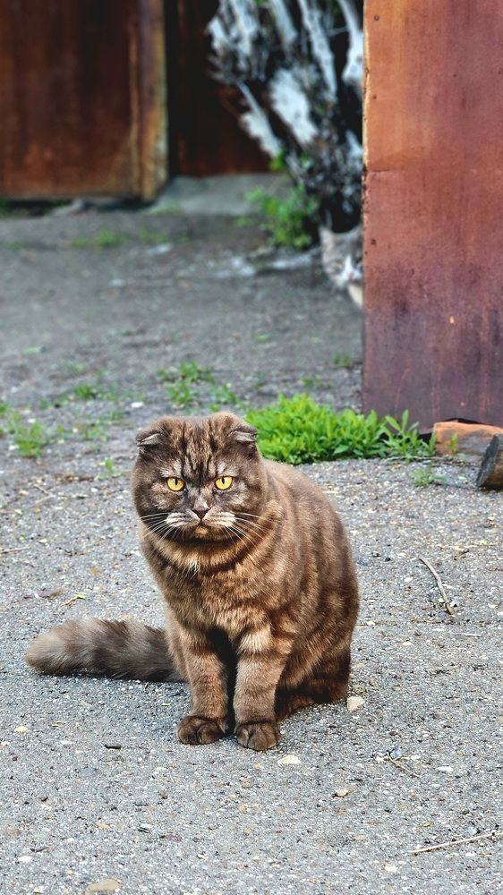 Photograph by Наталья Анисимова