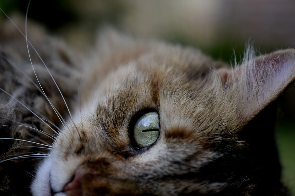 Photograph by Beatriz Games